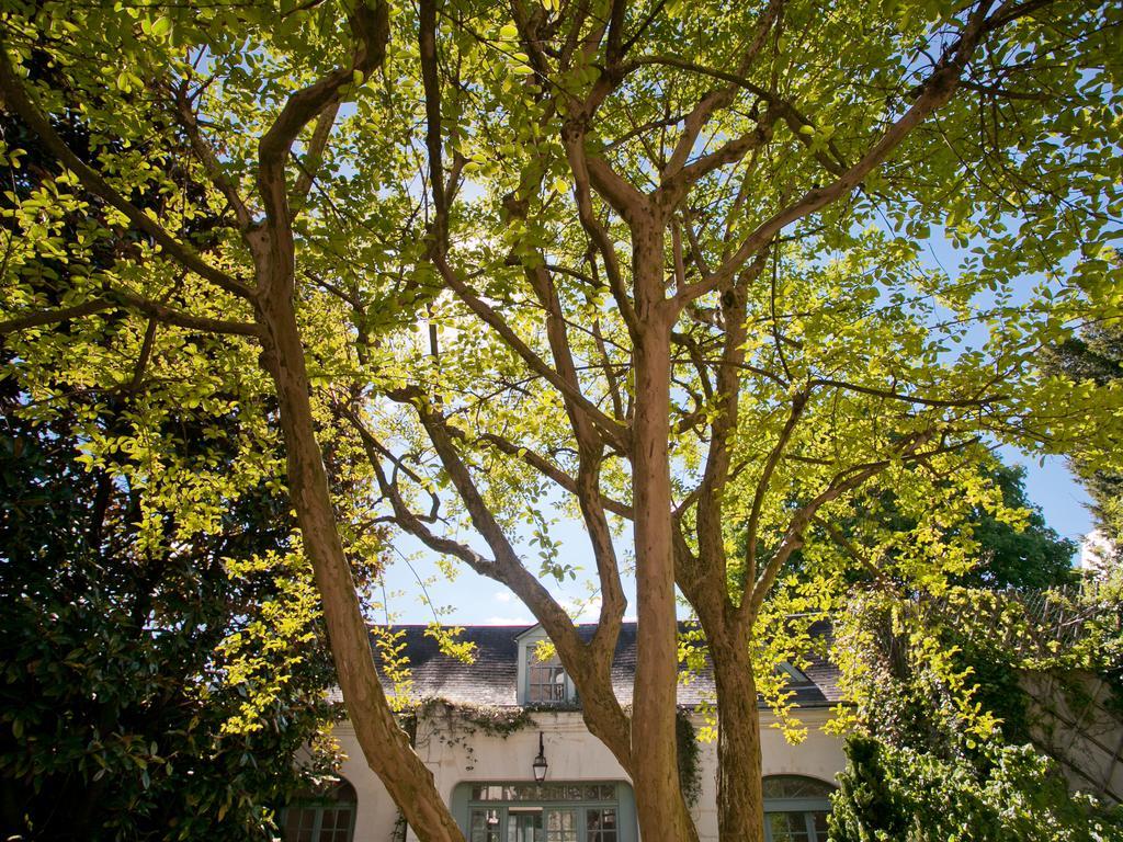 La Maison Jules Tours Exterior foto